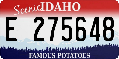 ID license plate E275648