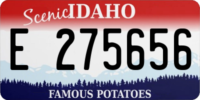 ID license plate E275656
