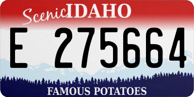 ID license plate E275664