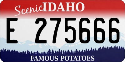 ID license plate E275666