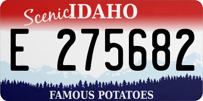 ID license plate E275682