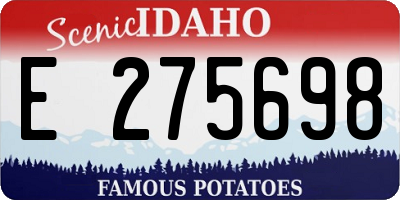 ID license plate E275698