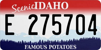 ID license plate E275704