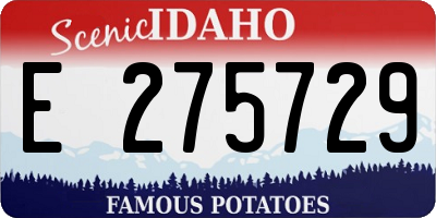 ID license plate E275729