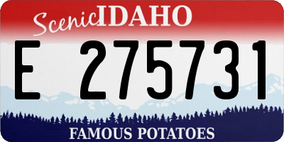 ID license plate E275731