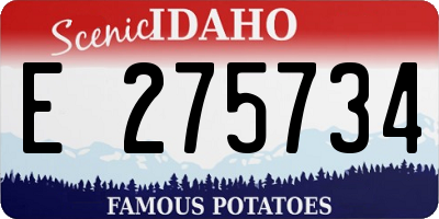 ID license plate E275734