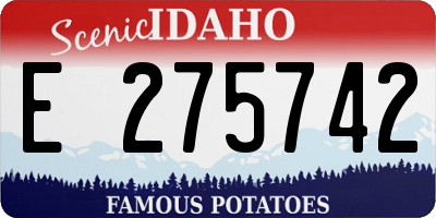 ID license plate E275742