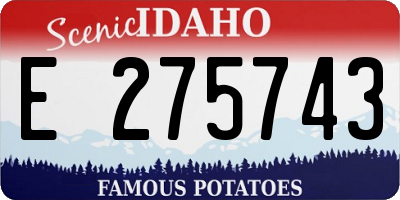 ID license plate E275743
