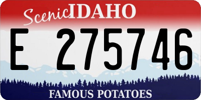 ID license plate E275746