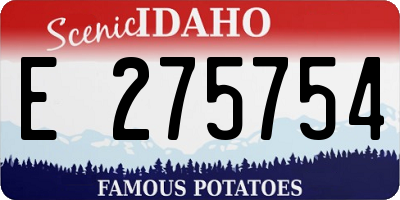 ID license plate E275754