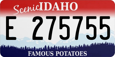ID license plate E275755