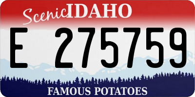 ID license plate E275759