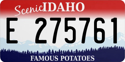 ID license plate E275761