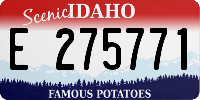 ID license plate E275771