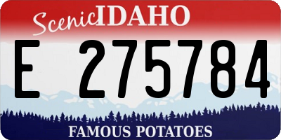 ID license plate E275784