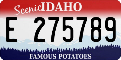 ID license plate E275789