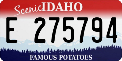 ID license plate E275794