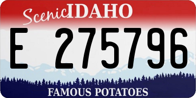 ID license plate E275796