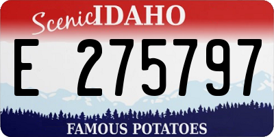 ID license plate E275797