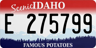 ID license plate E275799