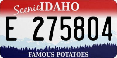 ID license plate E275804