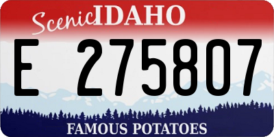 ID license plate E275807