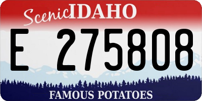 ID license plate E275808