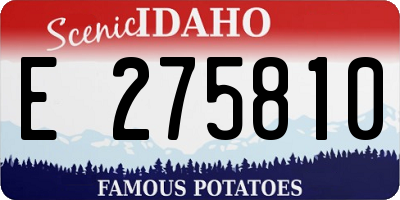 ID license plate E275810