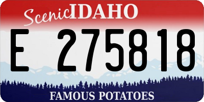 ID license plate E275818