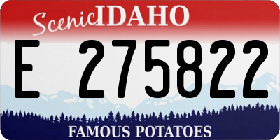 ID license plate E275822