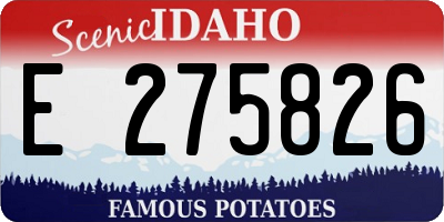 ID license plate E275826