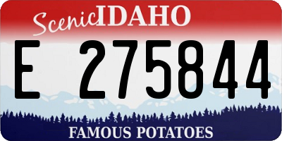 ID license plate E275844