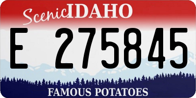 ID license plate E275845