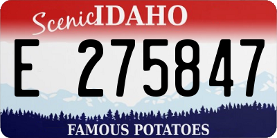 ID license plate E275847