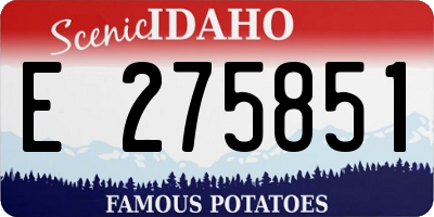 ID license plate E275851