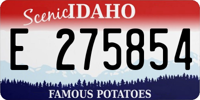 ID license plate E275854