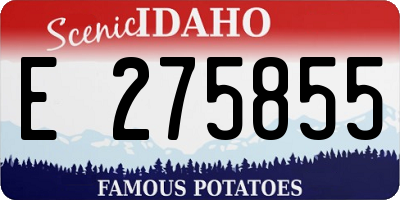 ID license plate E275855