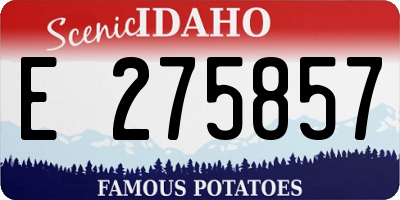 ID license plate E275857