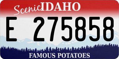 ID license plate E275858