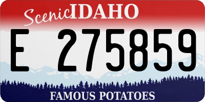 ID license plate E275859
