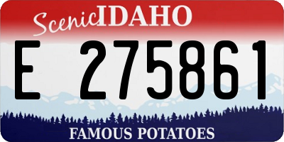 ID license plate E275861