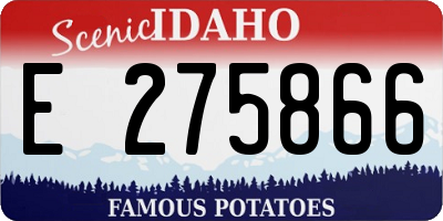 ID license plate E275866