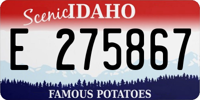 ID license plate E275867
