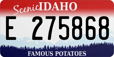 ID license plate E275868