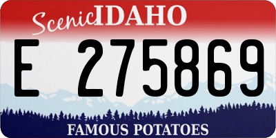 ID license plate E275869