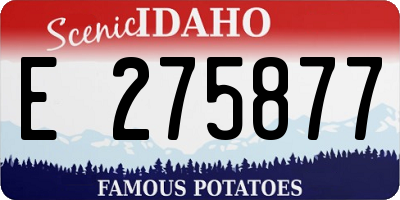 ID license plate E275877