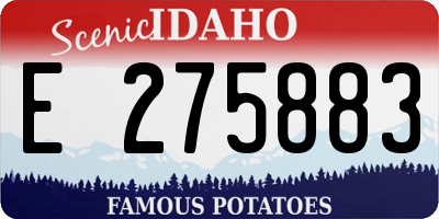 ID license plate E275883