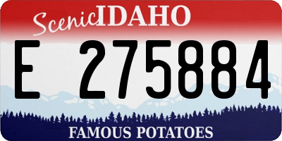 ID license plate E275884