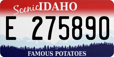 ID license plate E275890