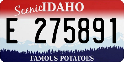 ID license plate E275891